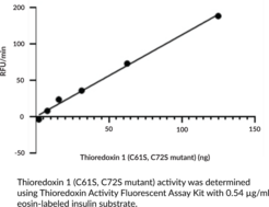 Thioredoxin 1 (C61S/C72S mutant; human, recombinant)