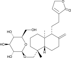 Neoandrographolide (CAS Number: 27215-14-1)