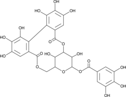 Corilagin (CAS Number: 23094-69-1)