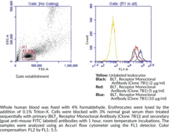 BLT1 Receptor Monoclonal Antibody (Clone 7B1) (BLTR1, Leukotriene B4 Receptor 1, LTB4 Receptor 1)
