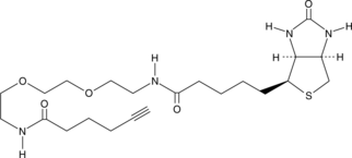 Alkynyl-biotin (CAS Number: 1011268-28-2)