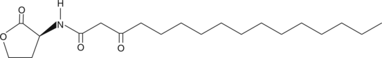 N-3-oxo-hexadecanoyl-L-Homoserine lactone (3-oxo-C16-HSL, N-3-oxo-palmitoyl-L-Homoserine lactone, CAS Number: 925448-37-9)