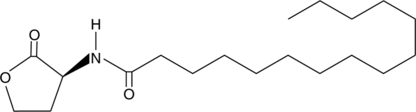 N-pentadecanoyl-L-Homoserine lactone (C15-HSL, CAS Number: 182359-66-6)