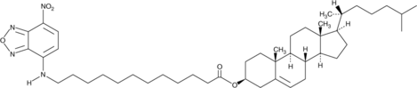 3-dodecanoyl-NBD Cholesterol (3-C12-NBD Cholesterol, CAS Number: 1246303-05-8)