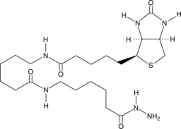 Biotin-XX hydrazide (CAS Number: 211237-33-1)