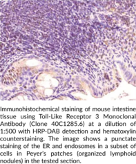 Toll-Like Receptor 3 Monoclonal Antibody (Clone 40C1285.6)