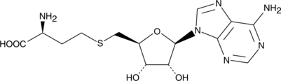S-Adenosylhomocysteine (AdoHcy, SAH, CAS Number: 979-92-0)