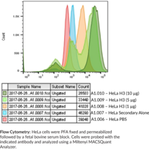 Histone H3 Polyclonal Antibody