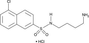 W-13 (hydrochloride) (CAS Number: 88519-57-7)