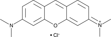 Pyronin Y (C.I. 45005, CAS Number: 92-32-0)