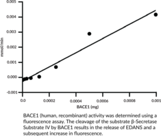BACE1 (human, recombinant)