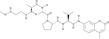 MeOSuc-Ala-Ala-Pro-Val-AMC (I 1270, MeOSuc-AAPV-AMC, Methoxy Succinyl-Ala-Ala-Pro-Val-AMC, CAS Number: 72252-90-5)