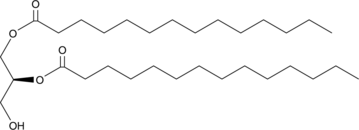1,2-Dimyristoyl-sn-glycerol (1,2-DMG, CAS Number: 60562-16-5)