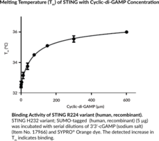 STING H232 variant; SUMO-tagged (human, recombinant)