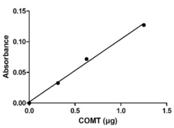 S-Catechol O-Methyltransferase (human, recombinant)