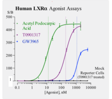 Human Liver X Receptor, Alpha Reporter Assay System (LXRα, NR1H3)