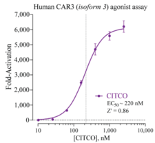 Human Constitutive Androstane Receptor (isoform 3) Reporter Assay System (CAR, CAR3, NR1I3)