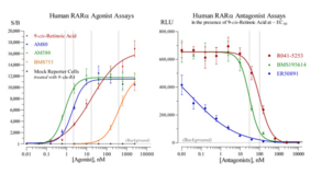 Human Retinoic Acid Receptor Alpha Reporter Assay System