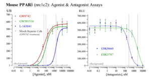 Mouse Peroxisome Proliferator-Activated Receptor Delta Reporter Assay System (NR1C2, PPARβ, PPARδ, PPARD)