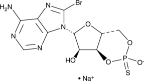 Sp-8-bromo-Cyclic AMPS (sodium salt) (8-Bromoadenosine 3',5'-cyclic Monophosphothioate SP-Isomer, Sp-8-bromo-cAMPS, CAS Number: 1573115-90-8)