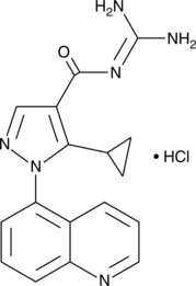 Zoniporide (hydrochloride) (CP 597,396, CAS Number: 241800-97-5)