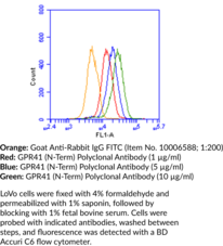FFAR3 (GPR41) (N-Term) Polyclonal Antibody