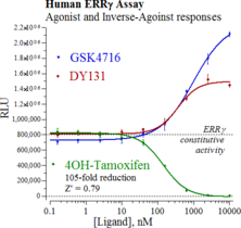 Human Estrogen-Related Receptor, Gamma Reporter Assay System (ERRγ, NR3B3)