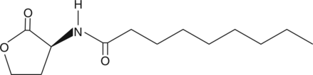 N-nonanoyl-L-Homoserine lactone (C9-HSL, N-nonanoyl-L-HSL, CAS Number: 177158-21-3)