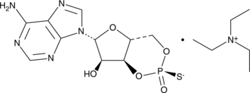 Rp-Cyclic AMPS (triethylammonium salt) (Rp-cAMPS, CAS Number: 151837-09-1)