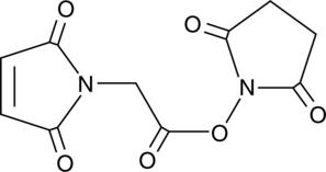 Maleimidoacetic Acid N-hydroxysuccinimide ester (AMAS, CAS Number: 55750-61-3)