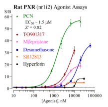 Rat Pregnane X Receptor Reporter Assay System (NR1I2, PXR, SXR)