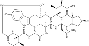 α-Amanitin (CAS Number: 23109-05-9) | Cayman Chemical