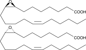(±)8(9)-EE-14(Z)-E ((±)8,9-Epoxyeicosa-14(Z)-enoic Acid)