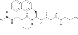 TAPI-1 (TAPI, CAS Number: 171235-71-5)