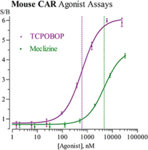Mouse Constitutive Androstane Receptor Reporter Assay System (mCAR, NR1I3)
