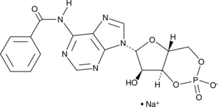 N6-benzoyl-Cyclic AMP (sodium salt) (6-Bnz-cAMP, CAS Number: 1135306-29-4)