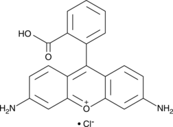Rhodamine 110 (chloride) (RH110, Rhodamine 560, Rhodamine N, CAS Number: 13558-31-1)