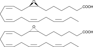 (±)7(8)-EpDTE ((±)7(8)-EpDoTE, CAS Number: 1616607-36-3)