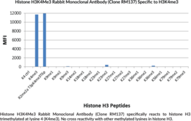 Histone H3K4Me3 Rabbit Monoclonal Antibody (Clone RM137)