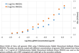 5-Methylcytosine Rabbit Monoclonal Antibody (Clone RM231)
