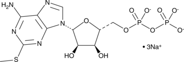 2-Methylthioadenosine diphosphate (sodium salt) (2-MeSADP, 2-methylthio ADP, CAS Number: 475193-31-8)