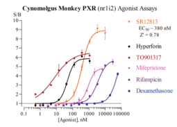 Cynomolgus Monkey Pregnane X Receptor Reporter Assay Kit (PXR, NR1I2, SXR)