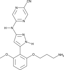 MK-1775 (AZD 1775, CAS Number: 955365-80-7) | Cayman Chemical