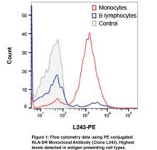HLA-DR Monoclonal Antibody (Clone L243) (HLA Class II Histocompatibility Antigen DR, MHC Class II Antigen DR)