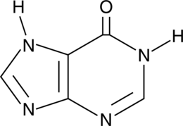 Hypoxanthine (6-Hydroxypurine, NSC 14665, NSC 129419, CAS Number: 68-94-0)