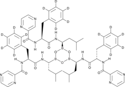 Bortezomib-d15 (LDP-341-d15, MG-341-d15, PS-341-d15)