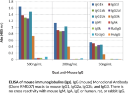 IgG (mouse) Monoclonal Antibody (Clone RMG07) (Immunoglobulin G)