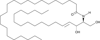 C22 Ceramide (d18:1/22:0) (C22 Ceramide, Cer(d18:1/22:0), Ceramide (d18:1/22:0), CAS Number: 27888-44-4)