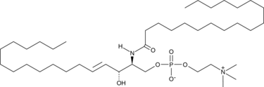 Sphingomyelin (bovine spinal cord) (SMs (from bovine spinal cord), CAS Number: 85187-10-6)