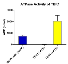 TBK1 (human, recombinant)